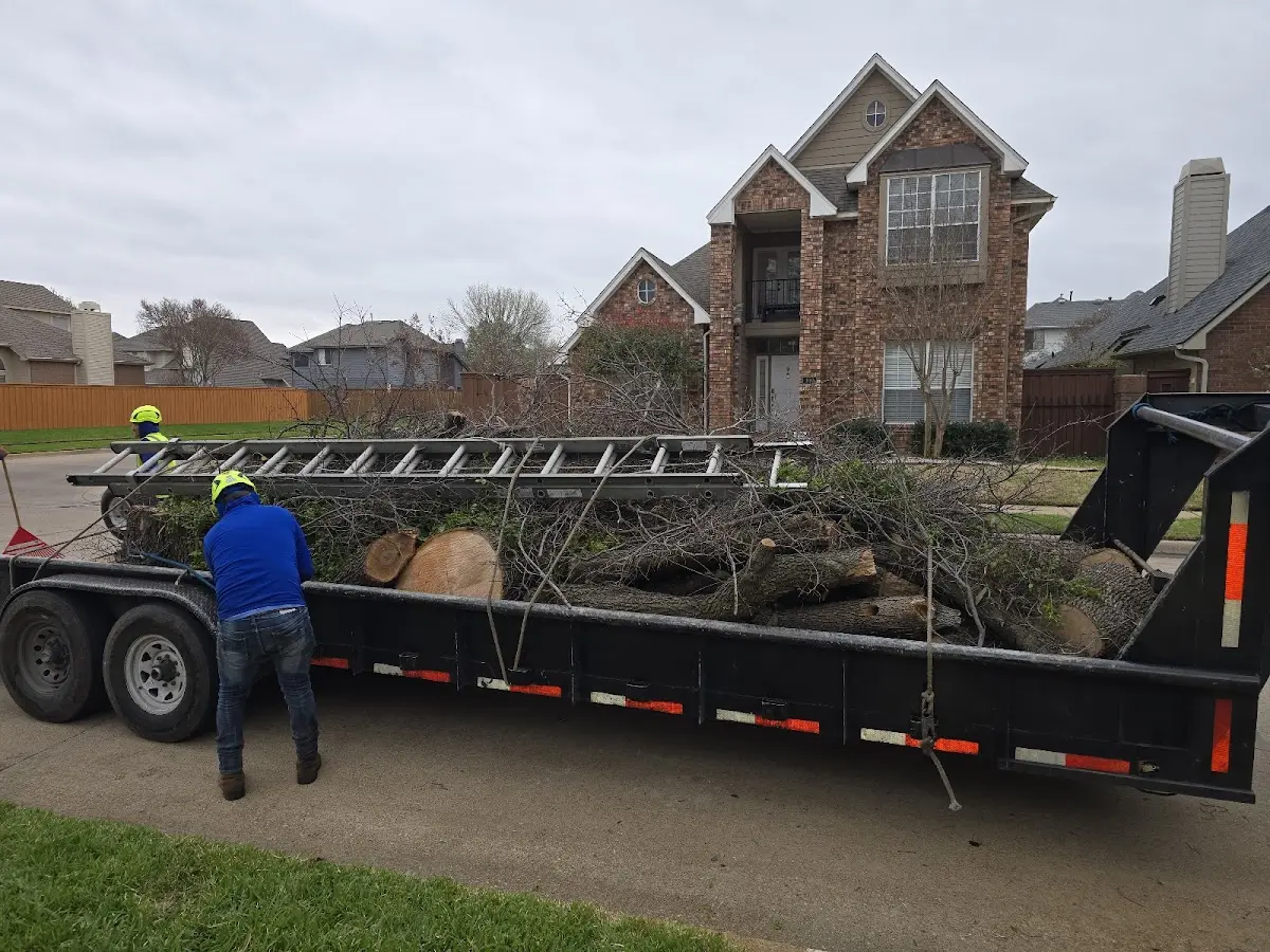 Expert Tree Removal with proper safety equipment in Tekonsha